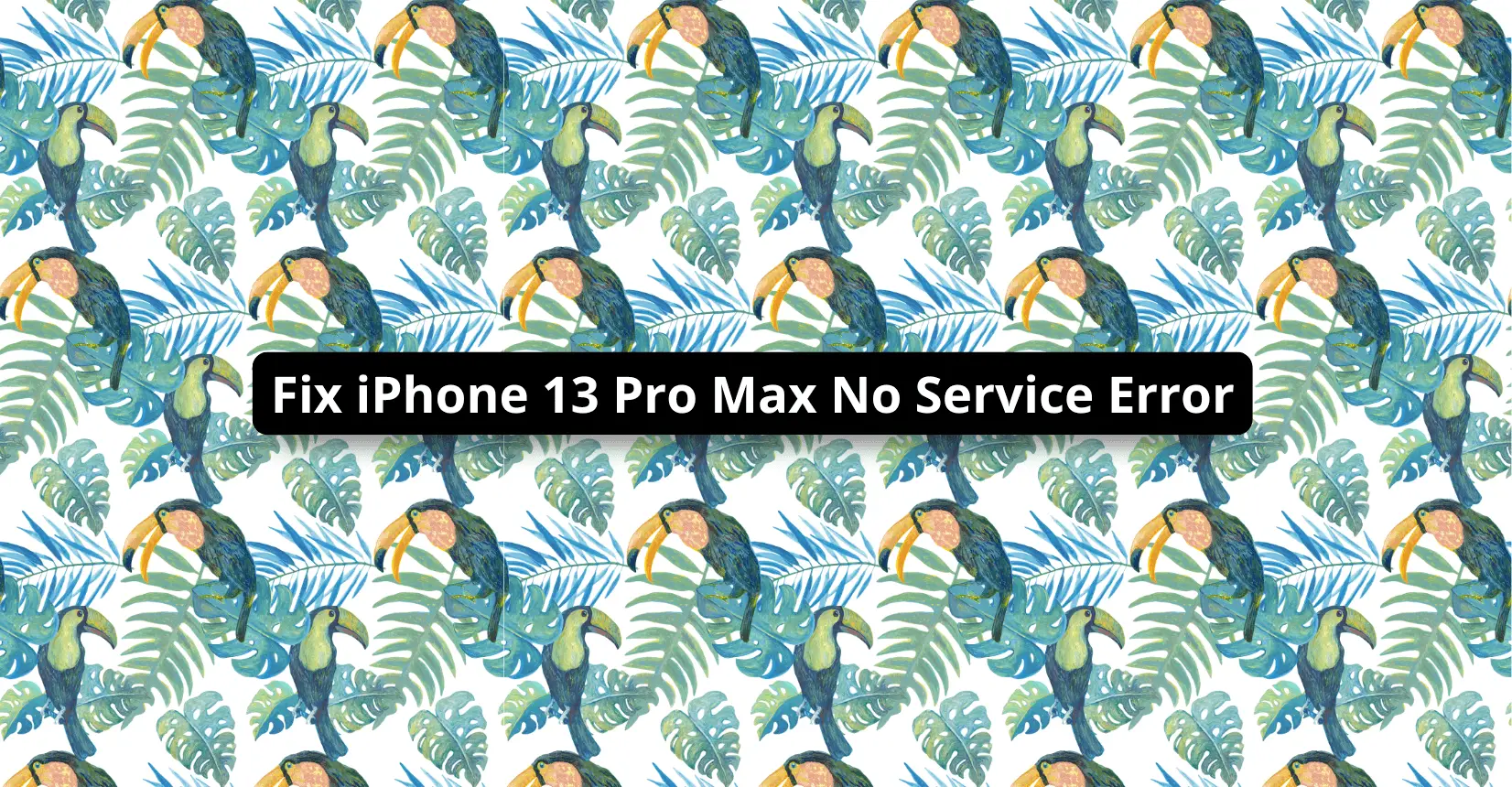 Fix iPhone 13 Pro Max No Service Error
