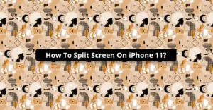 How To Split Screen On iPhone 11