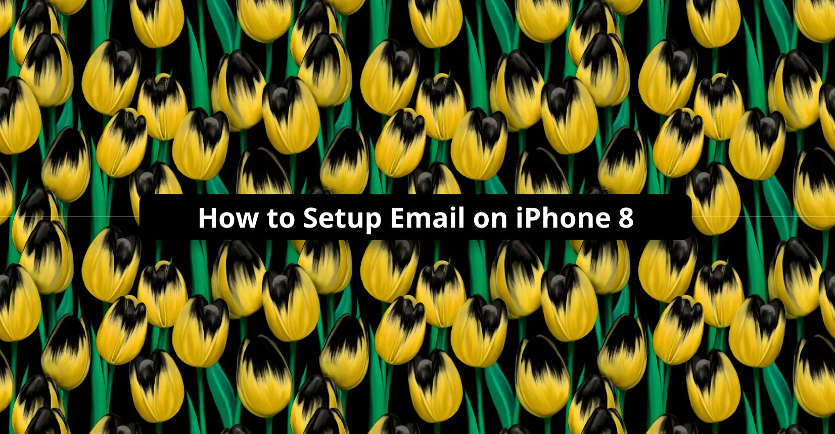How to Setup Email on iPhone 8