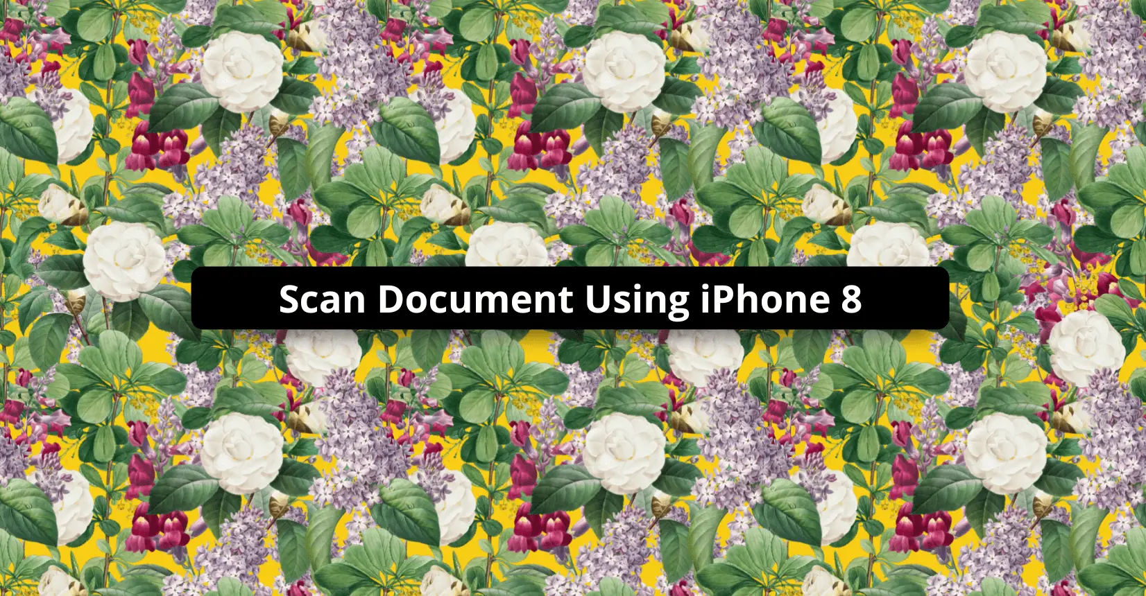 Scan Document Using iPhone 8
