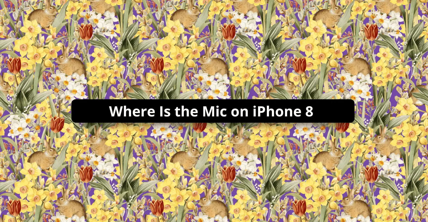 Where Is the Mic on iPhone 8
