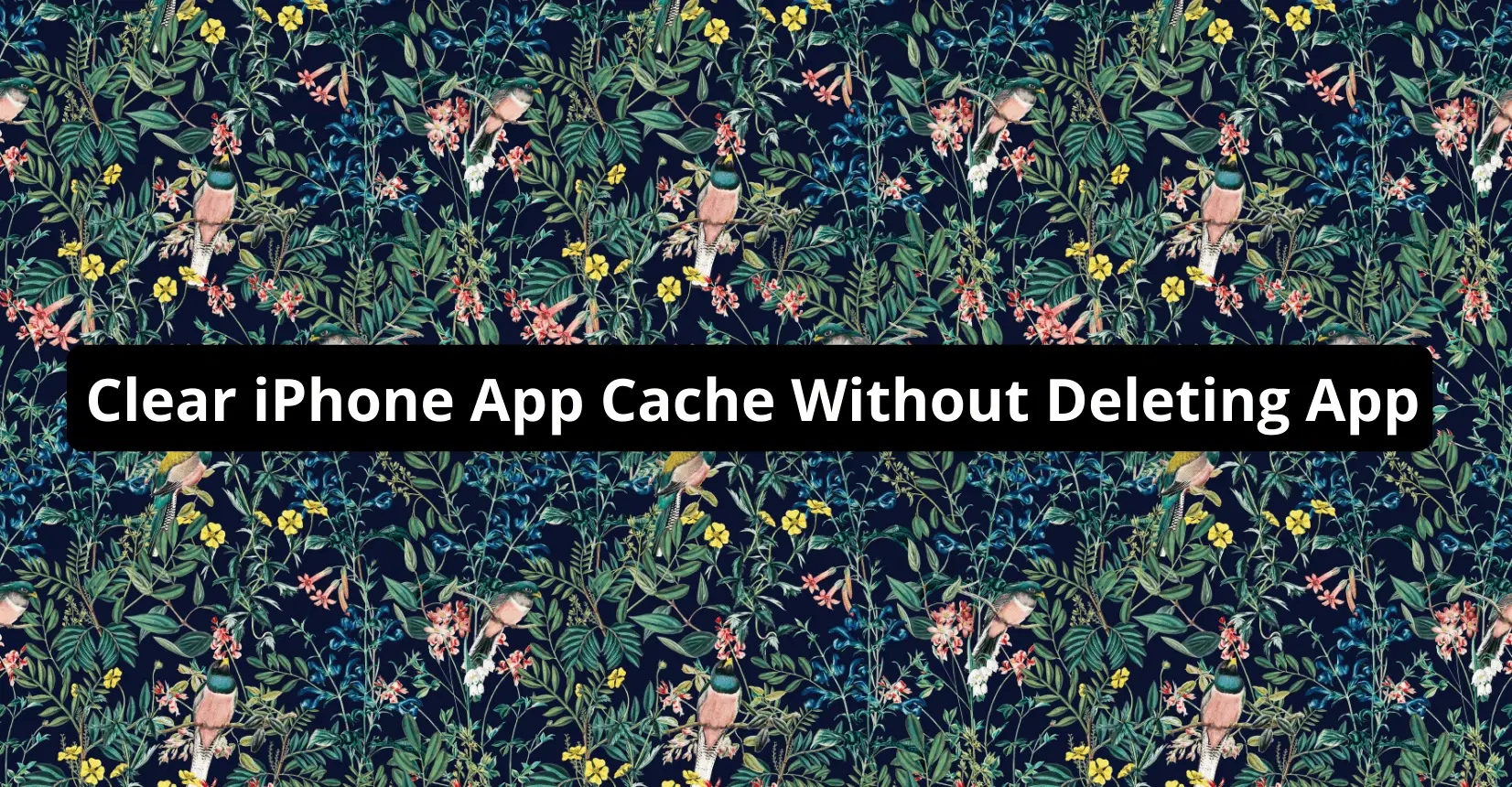 Clear iPhone App Cache Without Deleting App