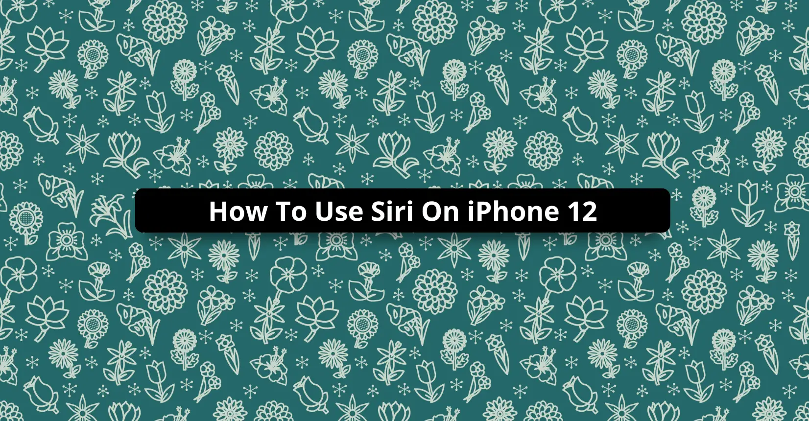 How To Use Siri On iPhone 12