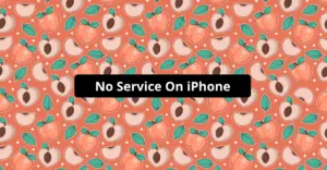 No Service On iPhone