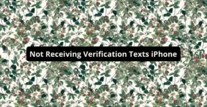 Not Receiving Verification Texts iPhone